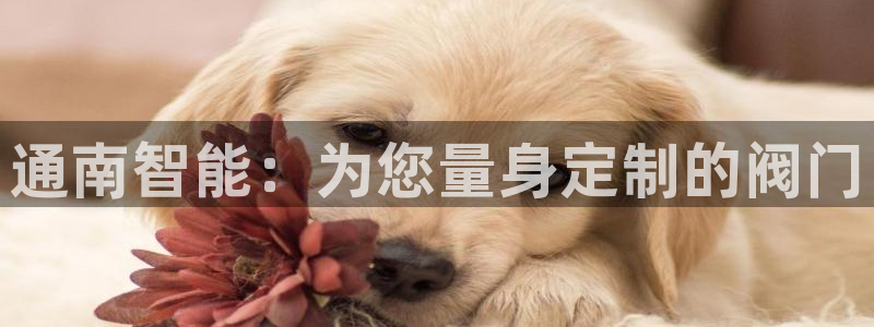 顺盈娱乐招商片判官333OO