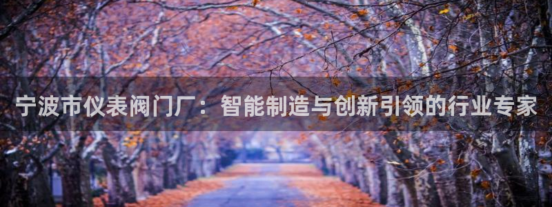 顺盈2娱乐游戏开发商