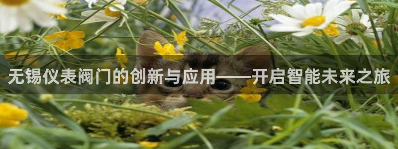 顺盈童欢娱乐有限公司