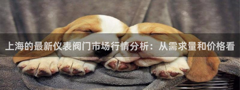 顺盈娱乐那家公司旗下