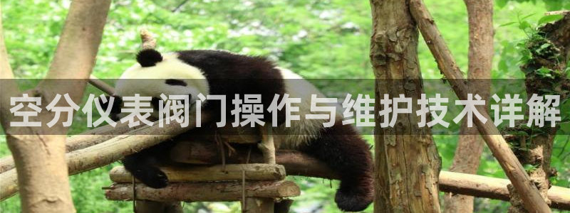 顺盈娱乐结究7276O