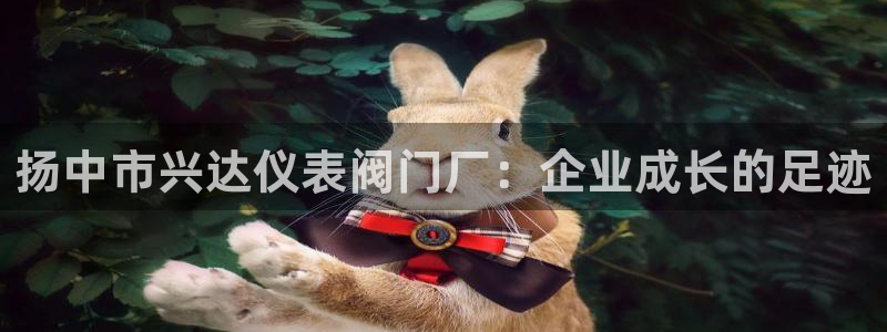 顺盈娱乐代理怎么样了啊