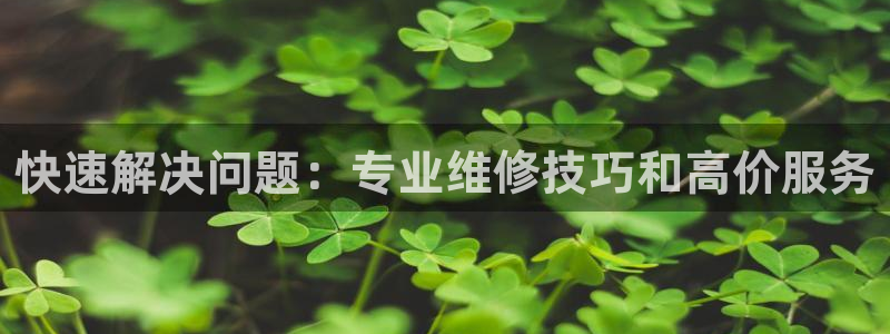 顺盈娱乐下载官网最新版