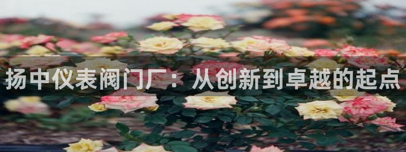 顺盈平台娱乐怎么样