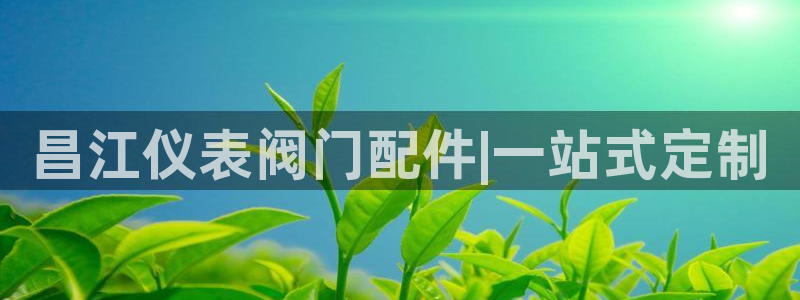 顺盈娱乐注册登录