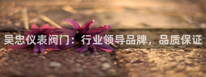 顺盈娱乐下载安装最新版