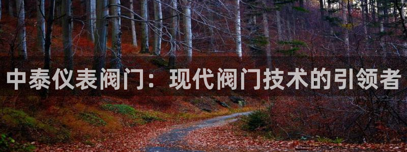 顺盈娱乐下载官网