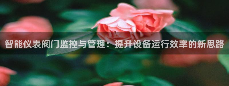 清远顺盈娱乐文案