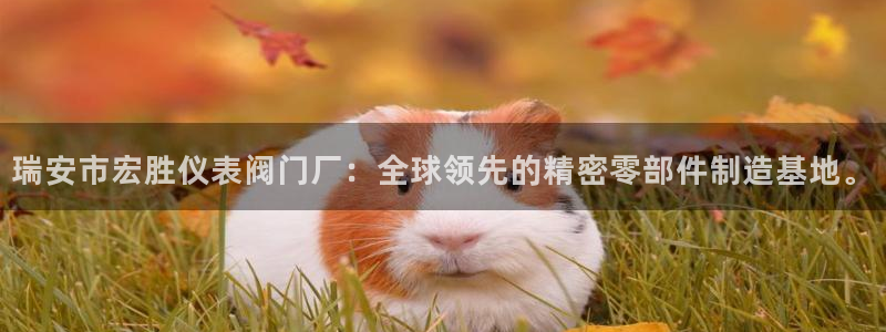 顺盈娱乐官网下载