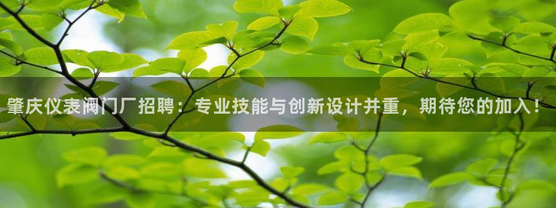 清远顺盈娱乐公司怎么样