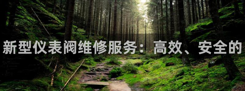 顺盈娱乐棋牌官网