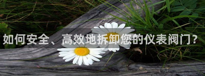 顺盈娱乐平台怎么样