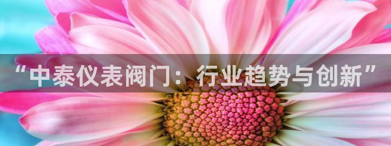 乐摇摇娱乐团购顺盈