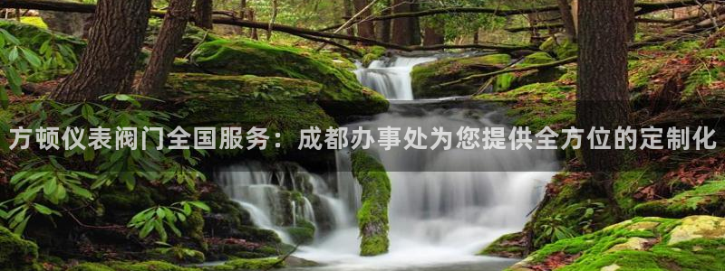 顺盈2娱乐主管啊判官333OO