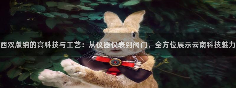 顺盈娱乐主管怎么样知乎