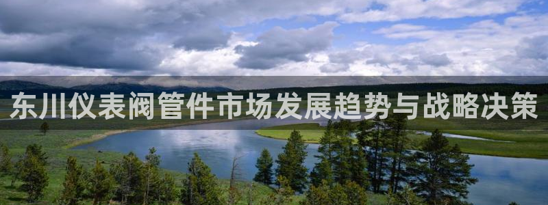 顺盈娱乐是什么意思