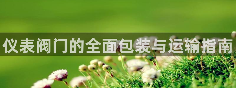 顺盈娱乐招商后原判官333OO