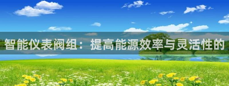 顺盈娱乐招商低判官333OO
