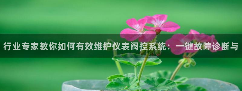顺盈娱乐团购