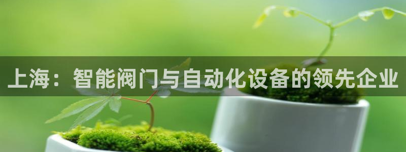 顺盈娱乐代理