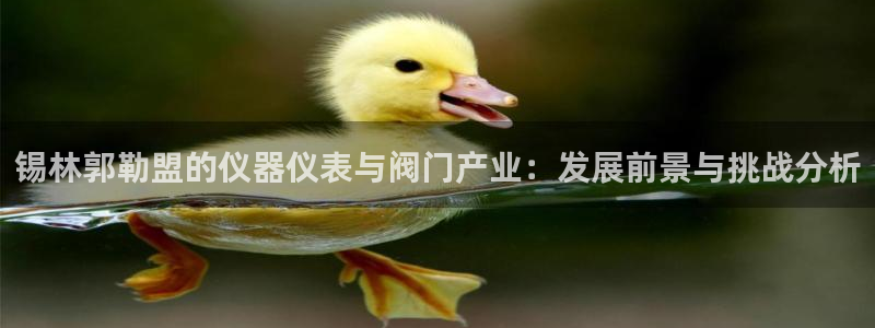 清远顺盈娱乐公司推荐