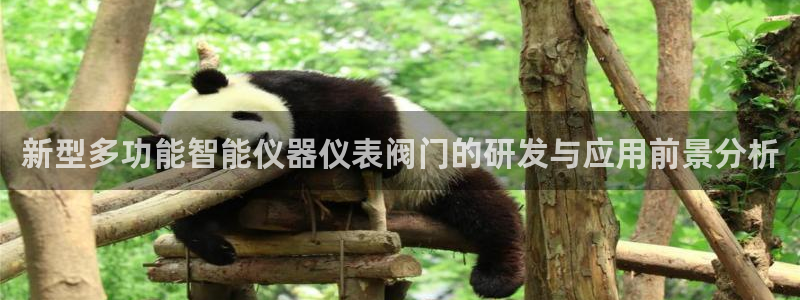 顺盈娱乐下载安装官方版