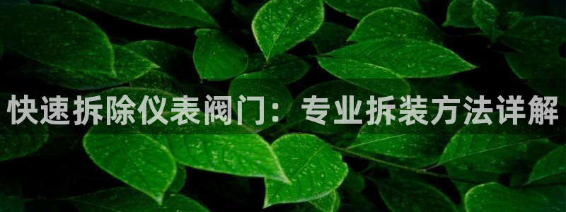 顺盈娱乐代理怎么样了啊