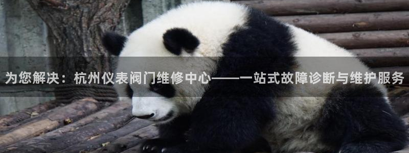 顺盈娱乐下载安装手机版